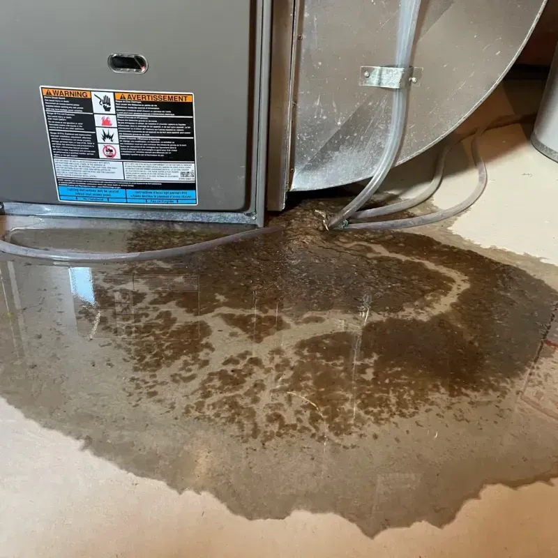 Appliance Leak Cleanup in Watsontown, PA